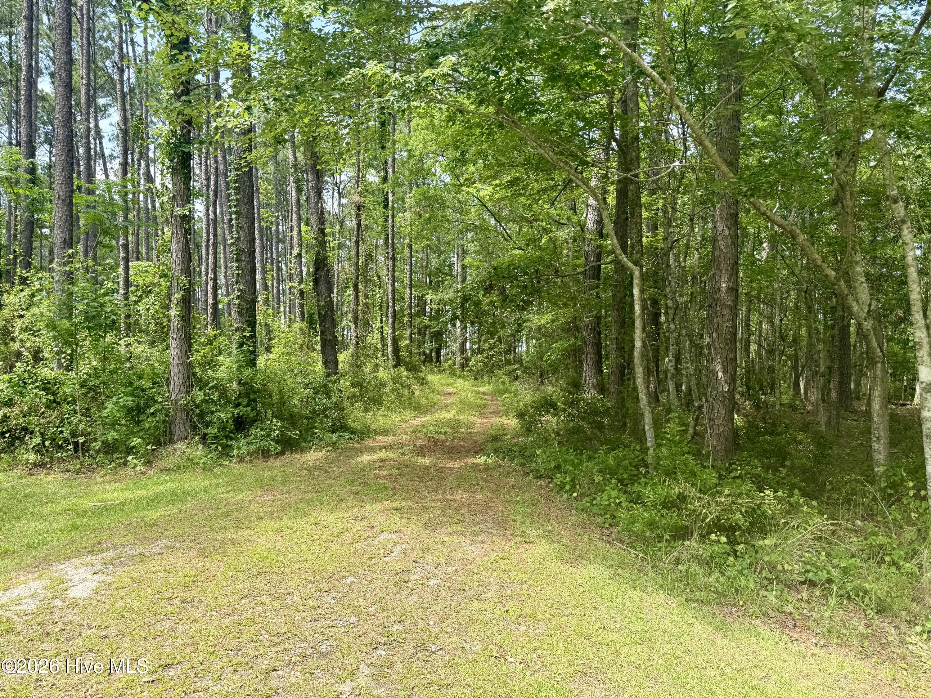 558 Sandy Point Drive Property Photo 3