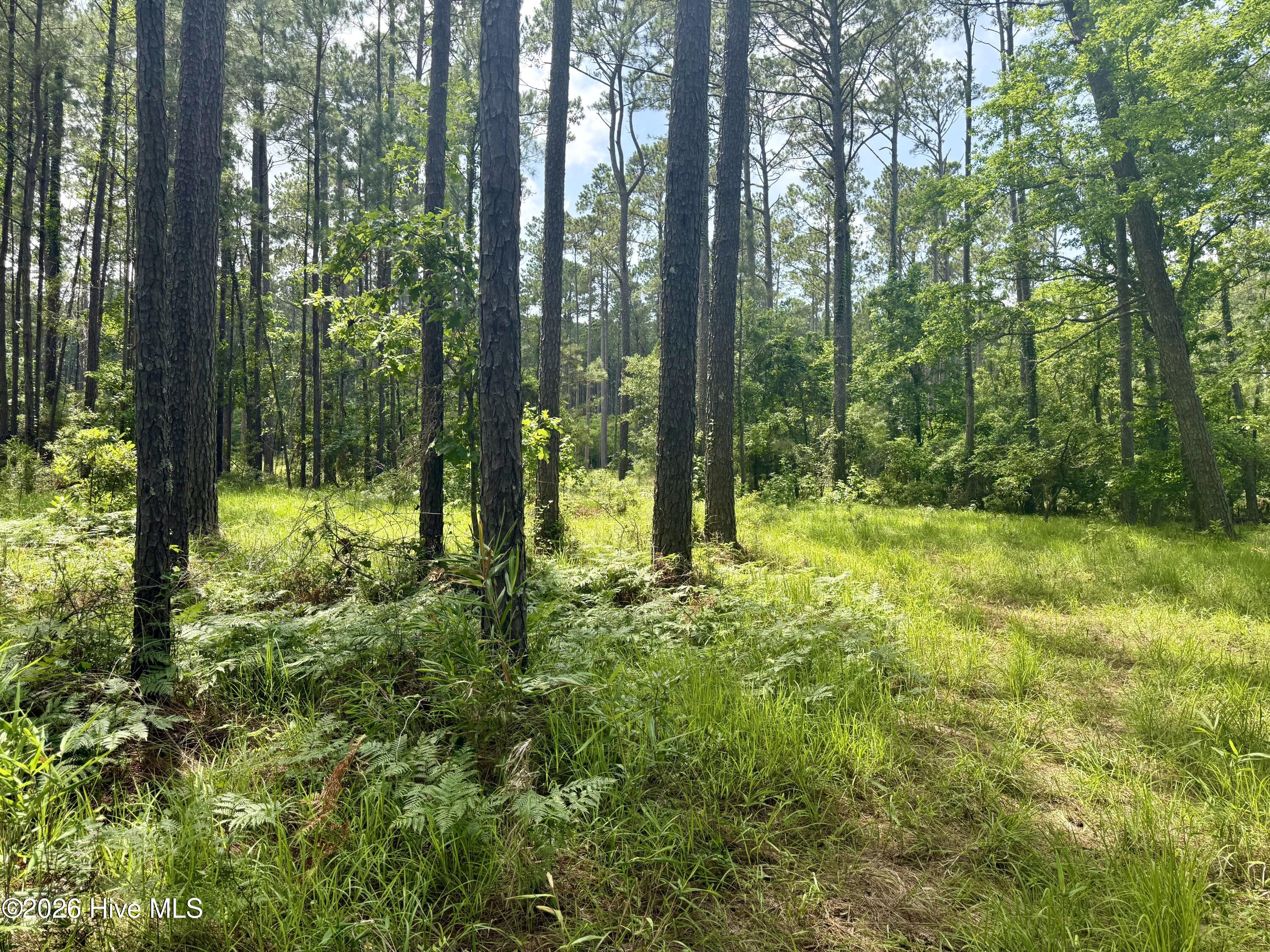 558 Sandy Point Drive Property Photo 6