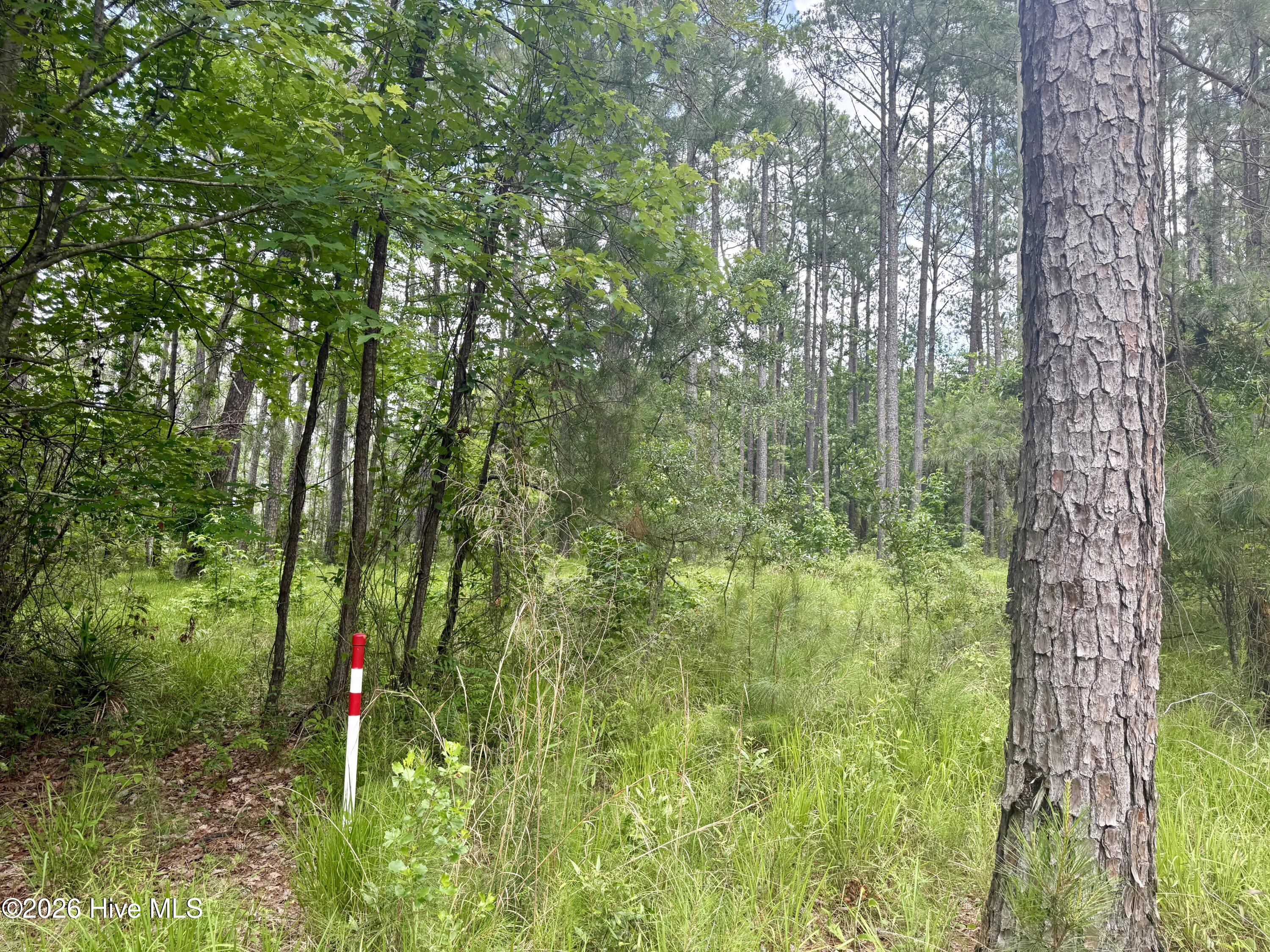 558 Sandy Point Drive Property Photo 8