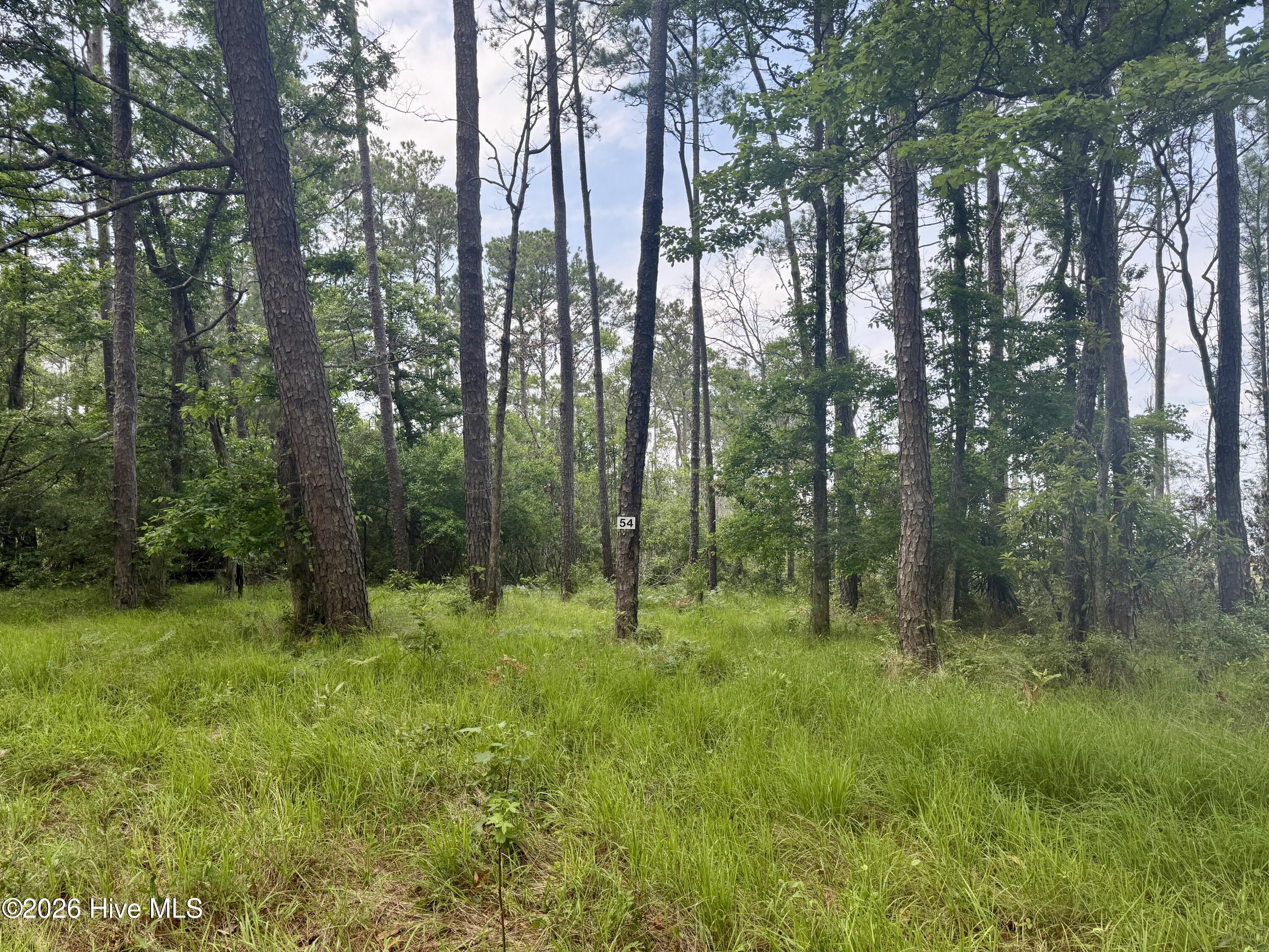 558 Sandy Point Drive Property Photo 9