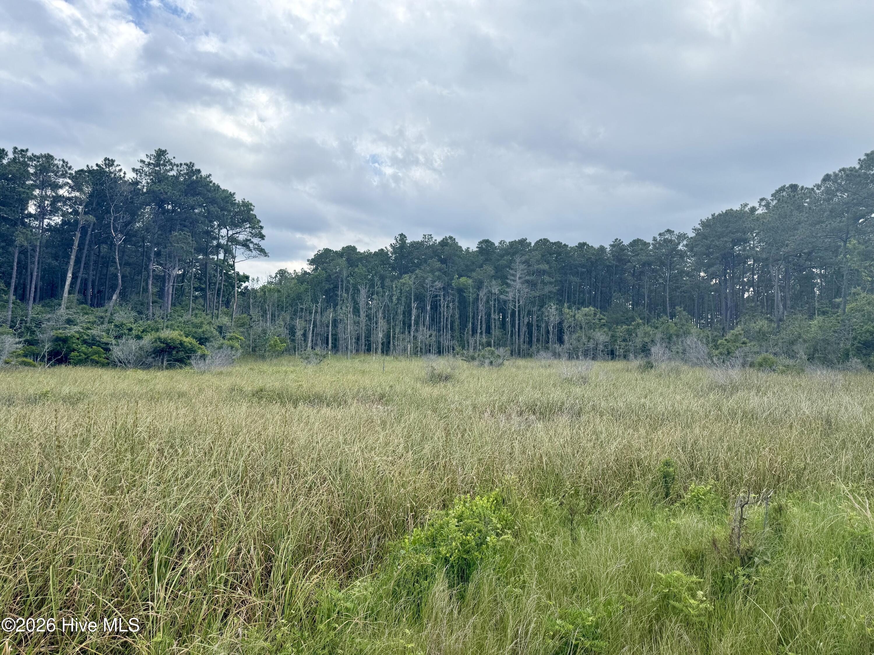 558 Sandy Point Drive Property Photo 10