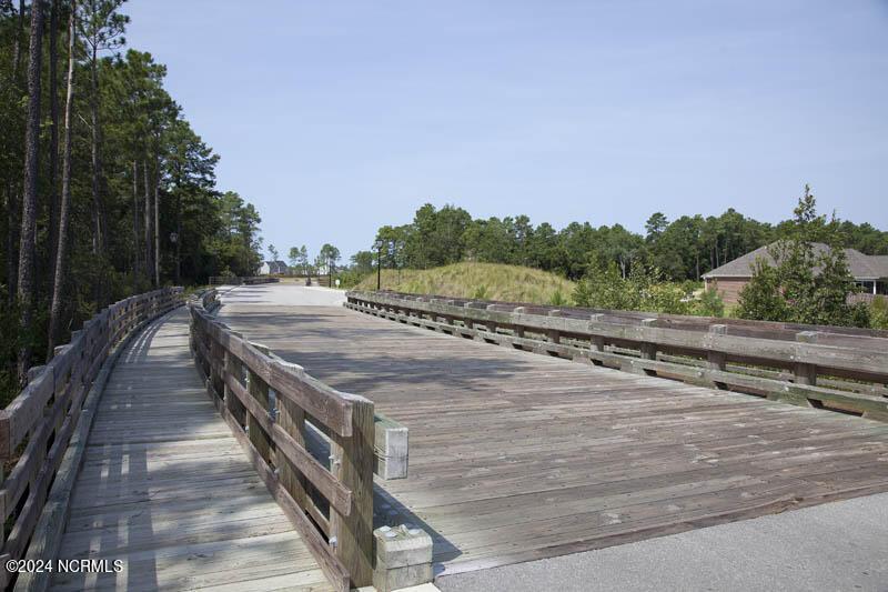 4324 Coralbead Lane Lot 110 Property Photo 43