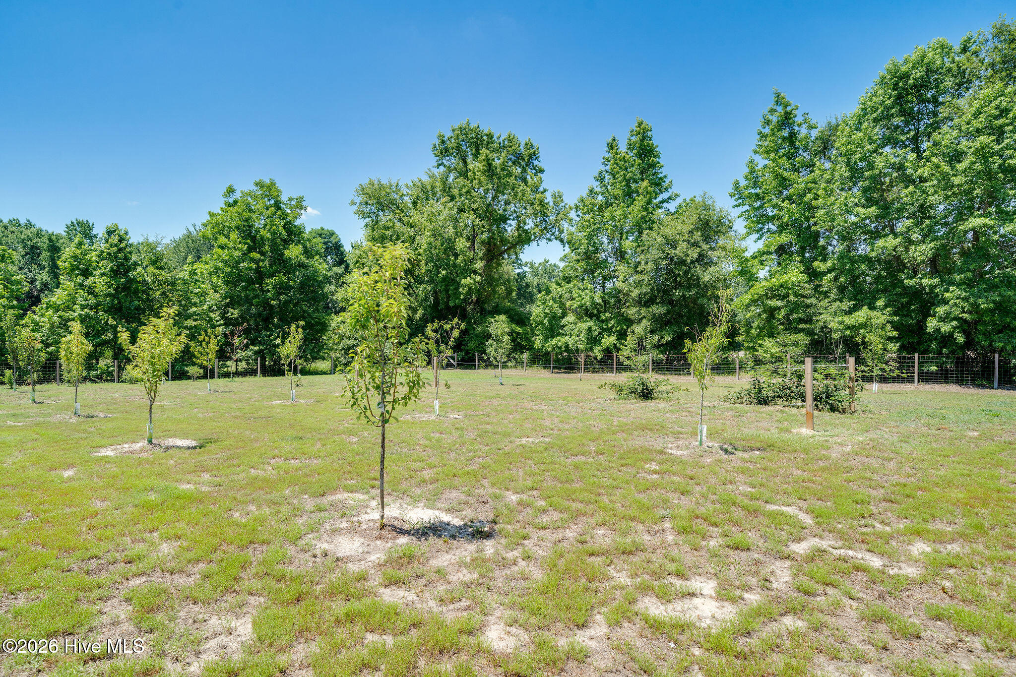 424 Jimmy Tate Williams Road Property Photo 33