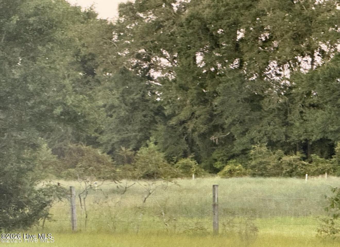 1337 Off Sr 1337 On Property Photo 3