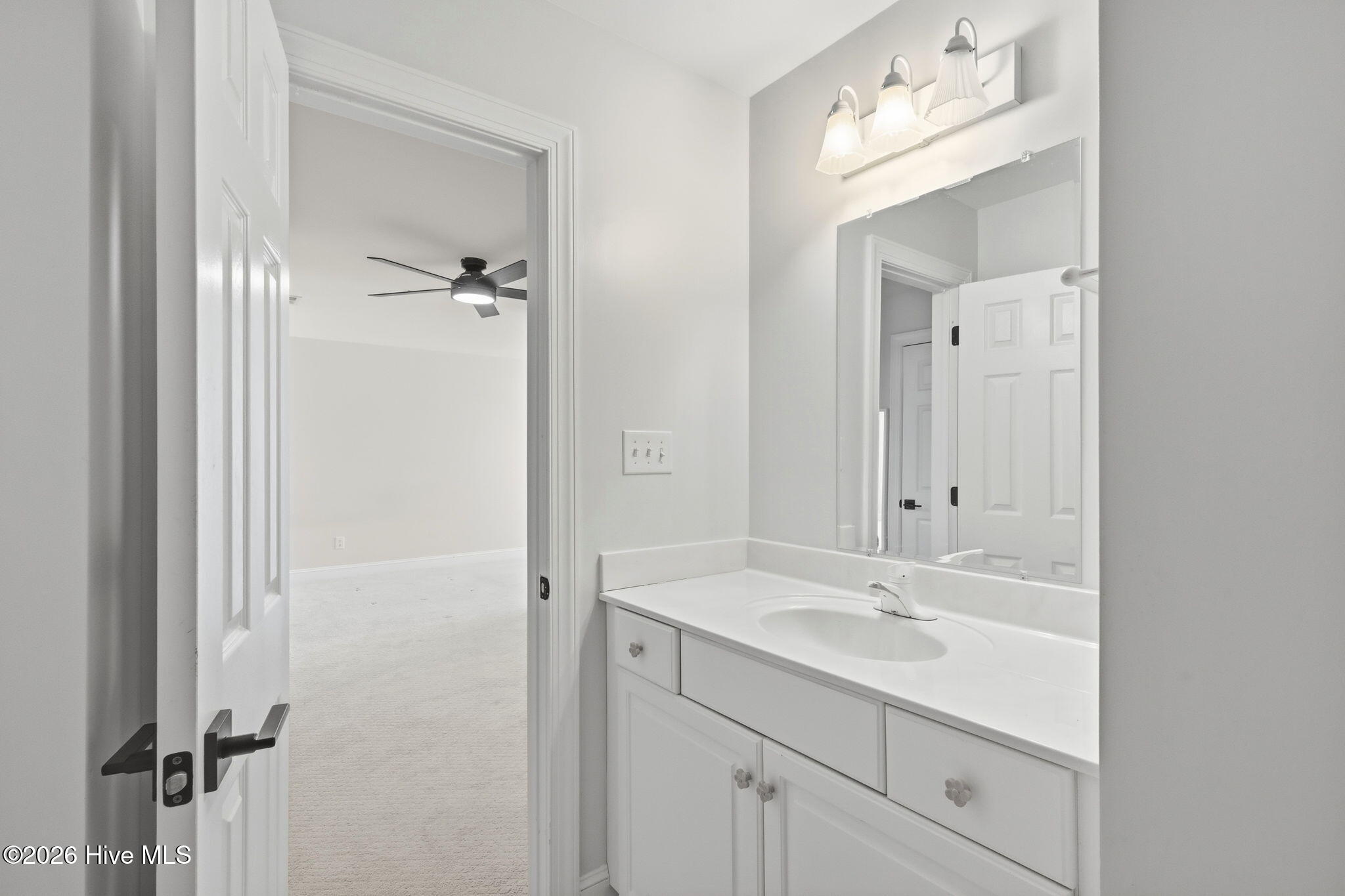1602 Ivory Gull Drive Property Photo 18