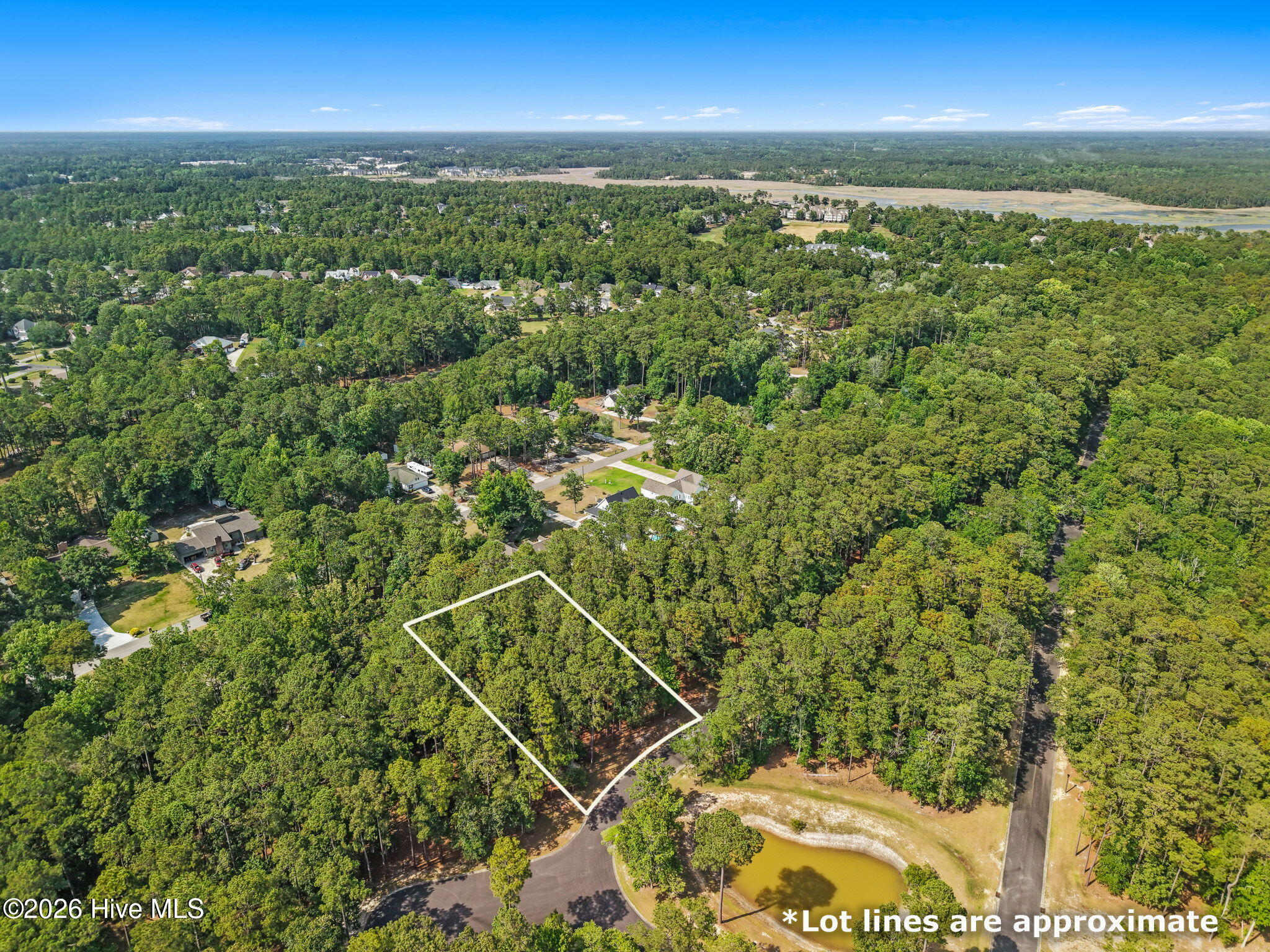 3740 Pine Brook Trail Property Photo 10