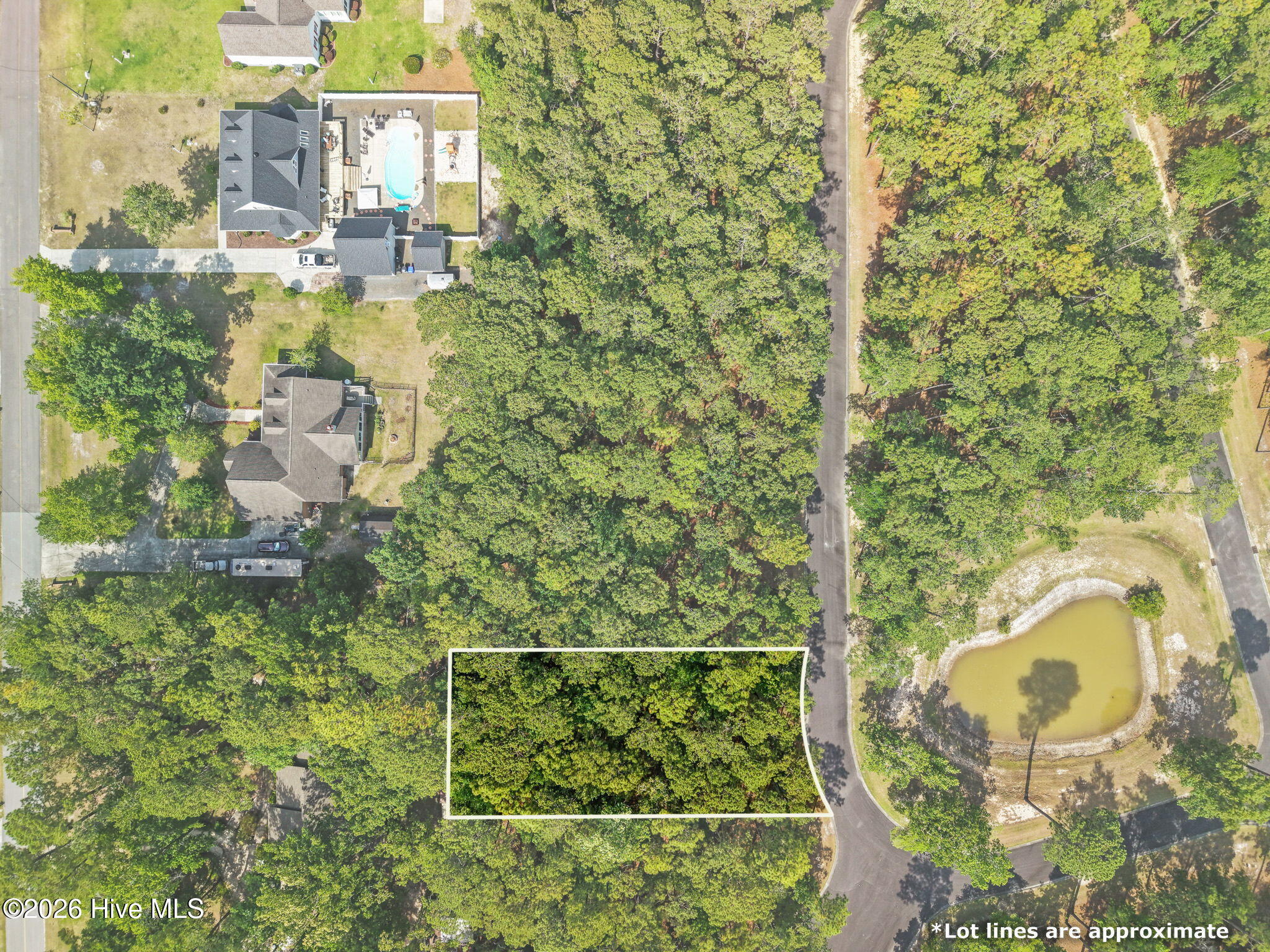 3740 Pine Brook Trail Property Photo 12