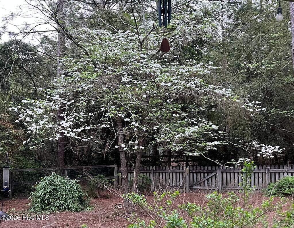 335 Swoope Drive Property Photo 40