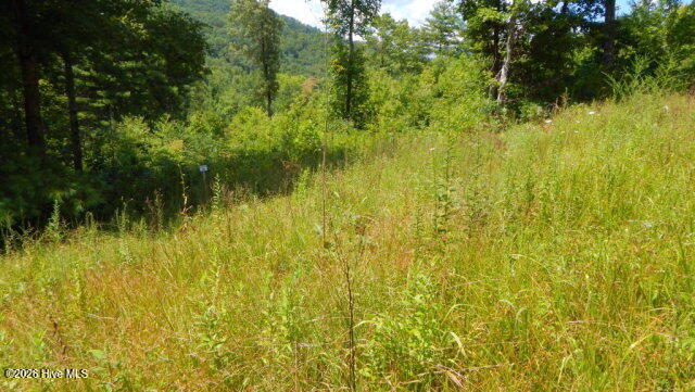 16 16 Tyler Ridge Property Photo 5