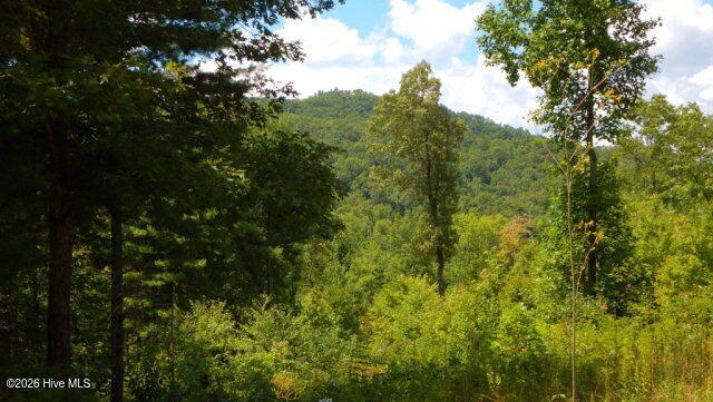 16 16 Tyler Ridge Property Photo 6