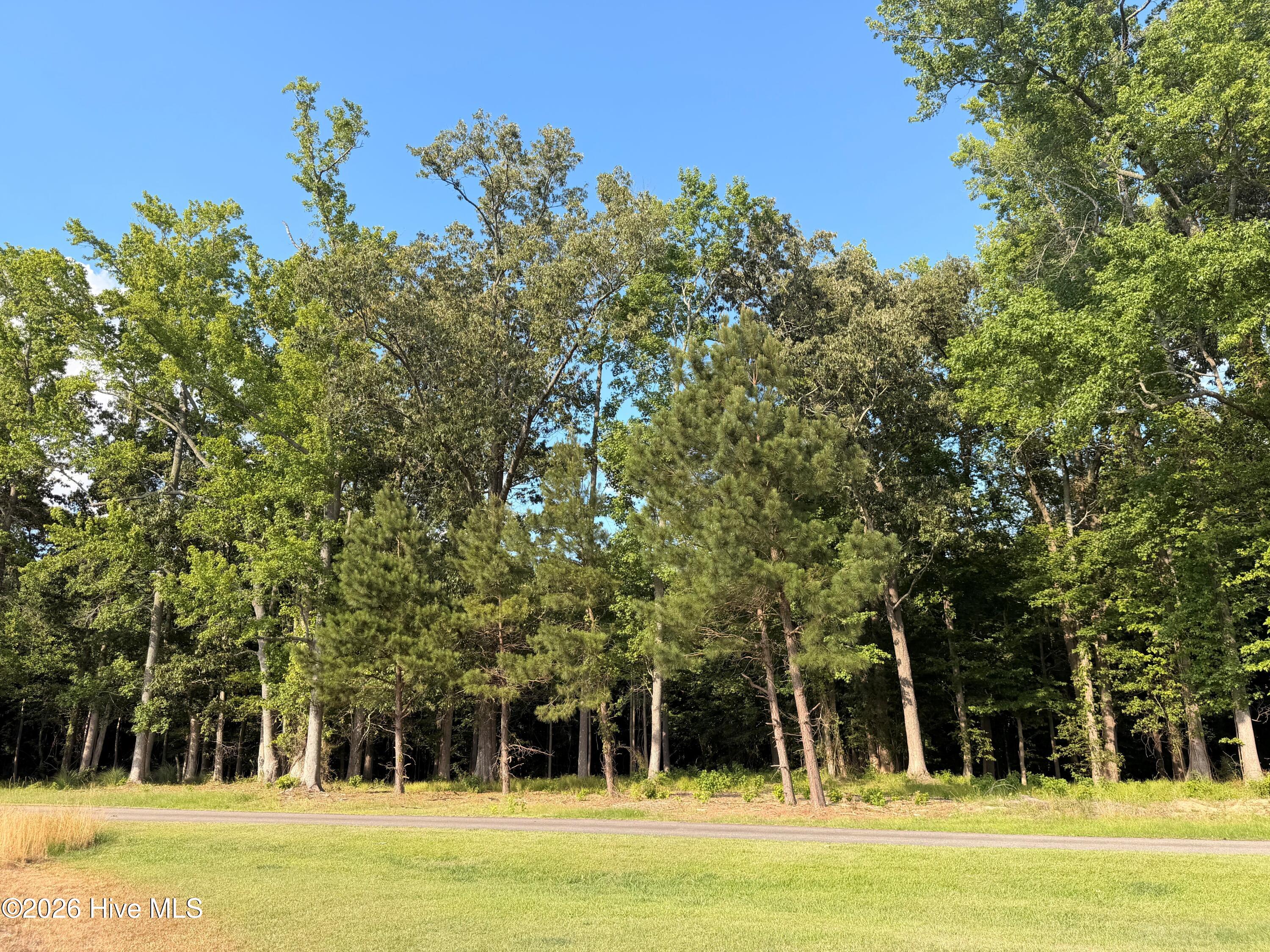462 Batchelor Bay Drive Property Photo 6