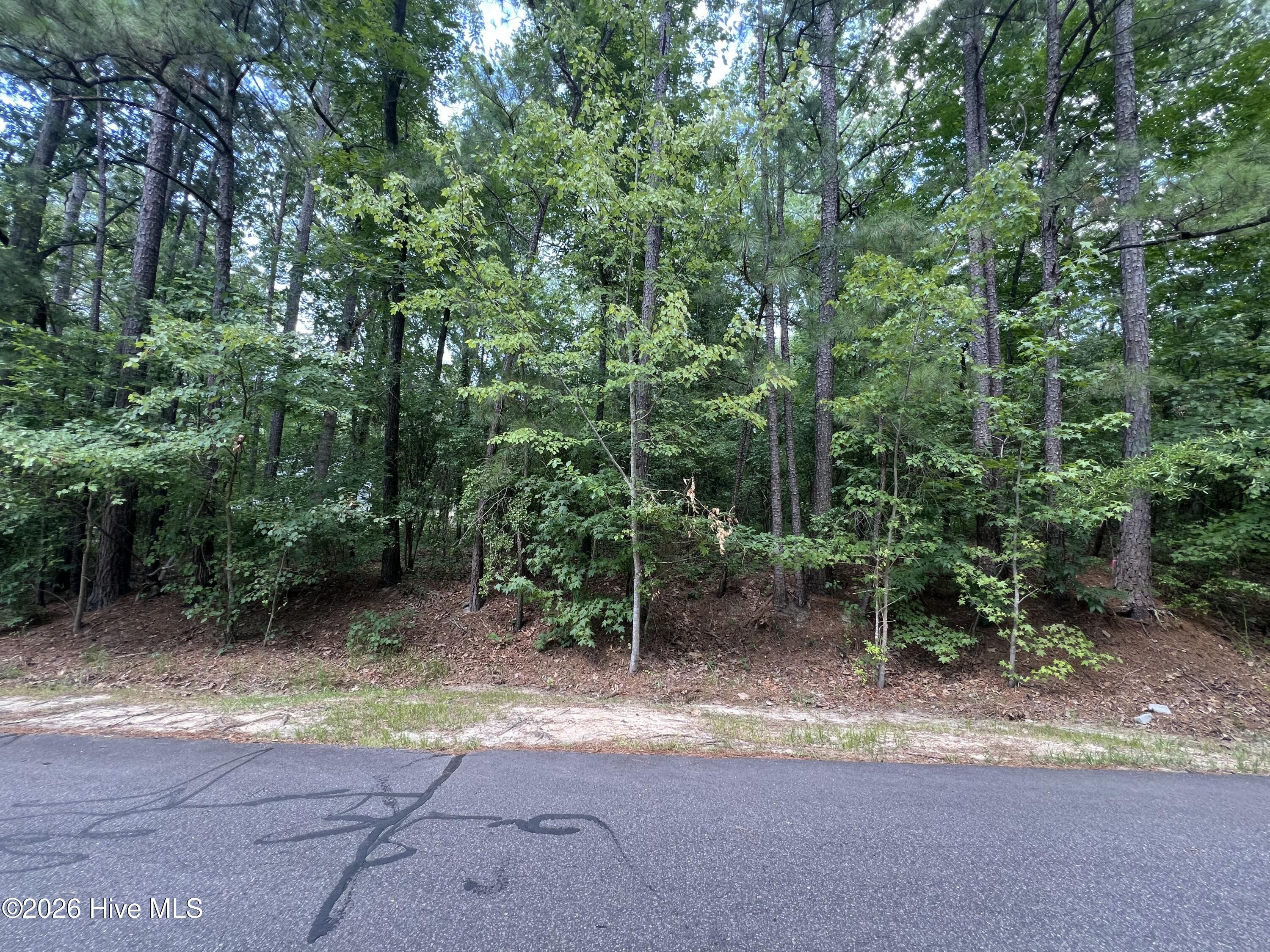 307 91 Thimbleberry Drive Property Photo 1