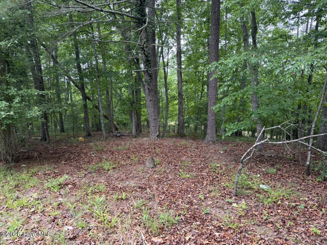 274 Snow Hill Ridge Road Property Photo 1
