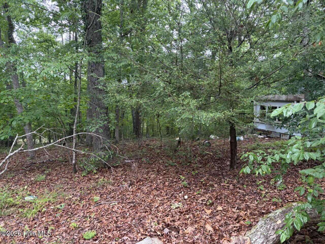 274 Snow Hill Ridge Road Property Photo 2