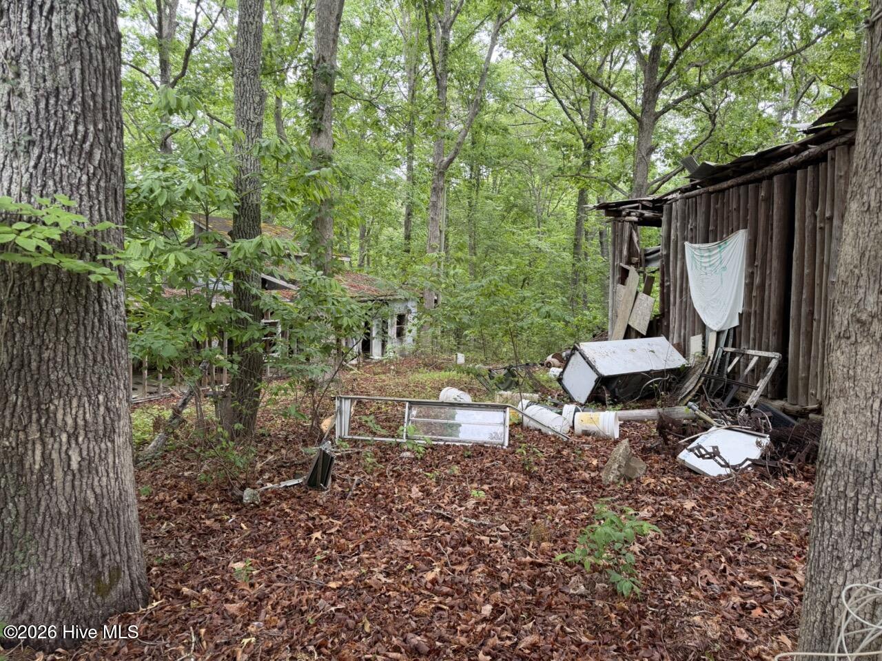 274 Snow Hill Ridge Road Property Photo 4