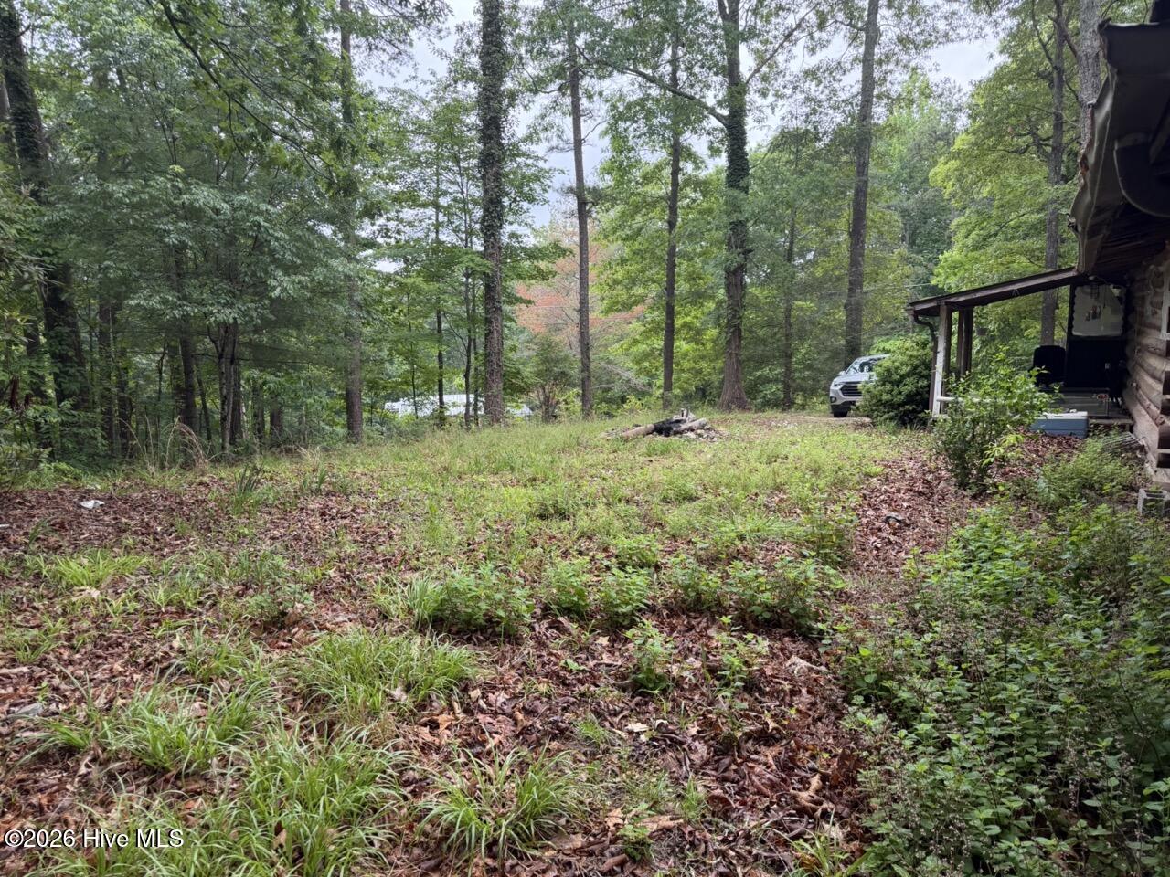 274 Snow Hill Ridge Road Property Photo 6