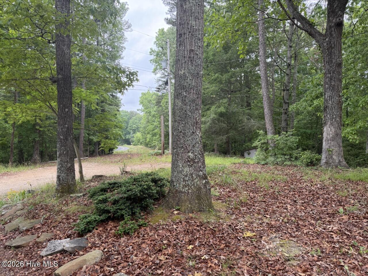 274 Snow Hill Ridge Road Property Photo 10