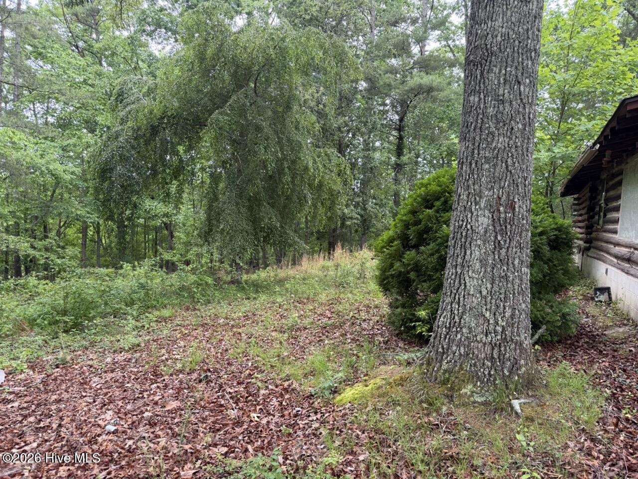 274 Snow Hill Ridge Road Property Photo 15
