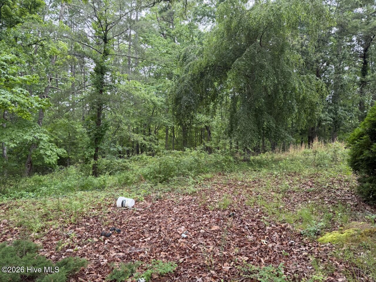274 Snow Hill Ridge Road Property Photo 16