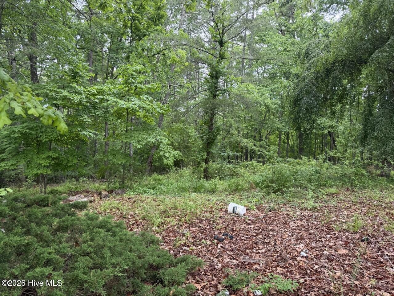 274 Snow Hill Ridge Road Property Photo 17