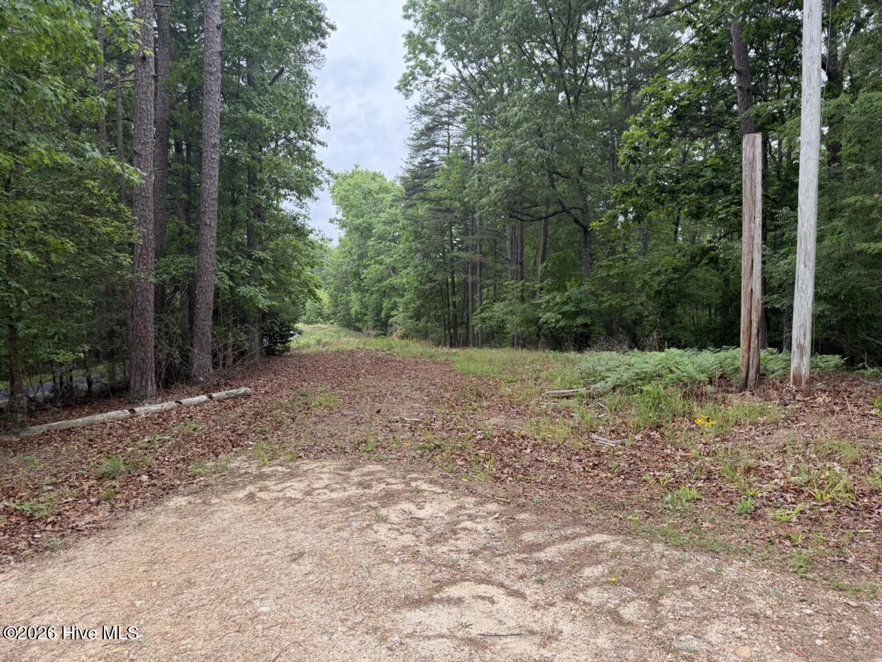 274 Snow Hill Ridge Road Property Photo 19