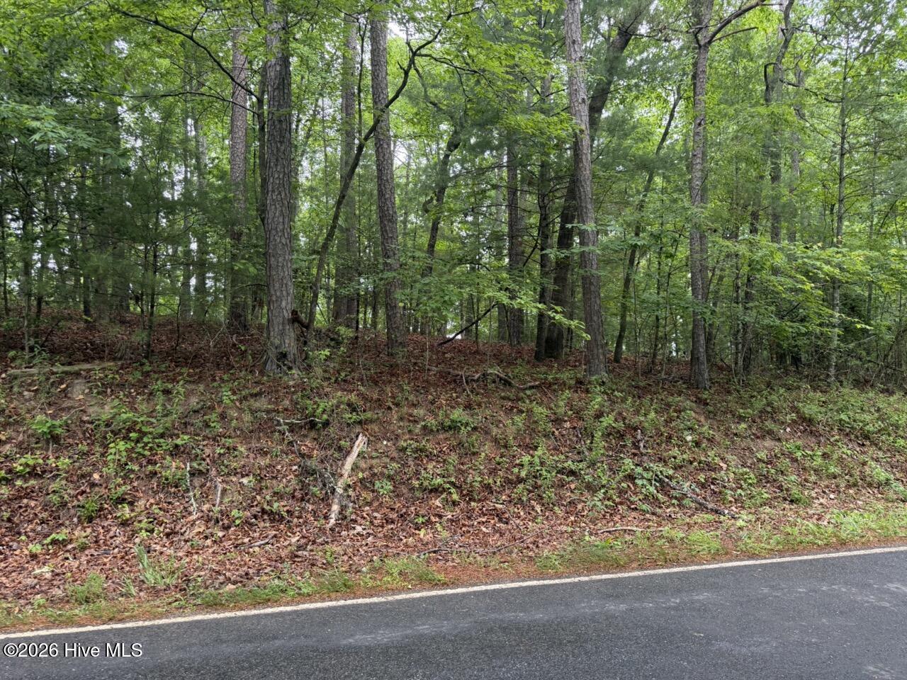 274 Snow Hill Ridge Road Property Photo 21