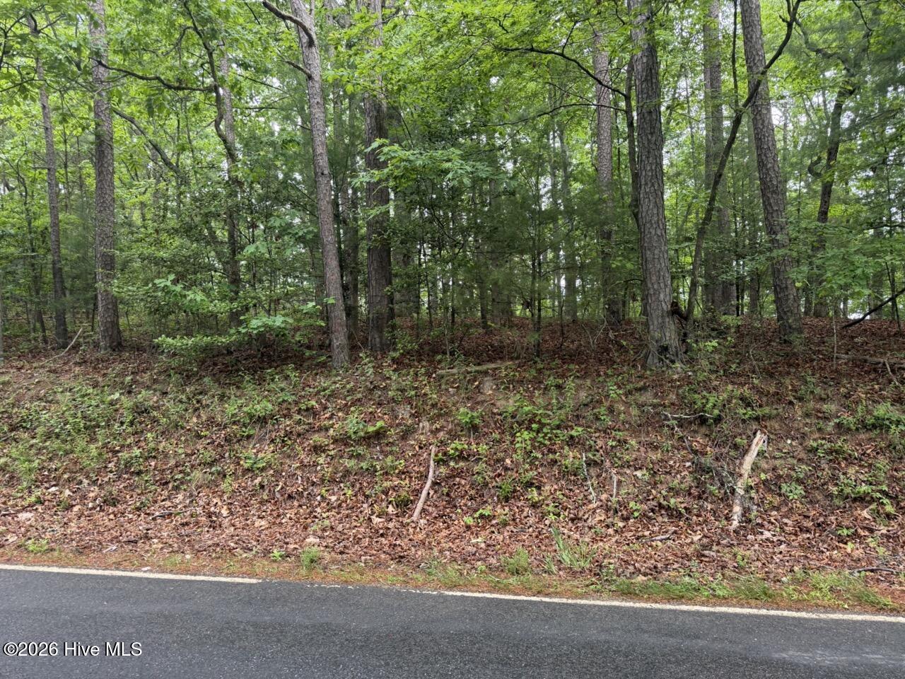 274 Snow Hill Ridge Road Property Photo 22