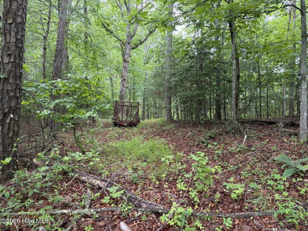 274 Snow Hill Ridge Road Property Photo 25