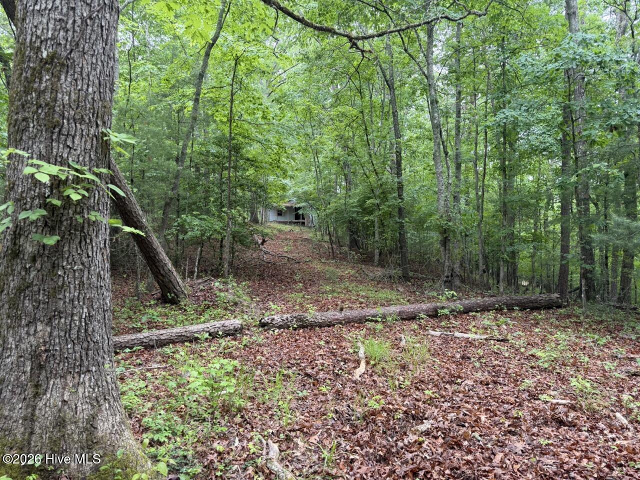 274 Snow Hill Ridge Road Property Photo 26