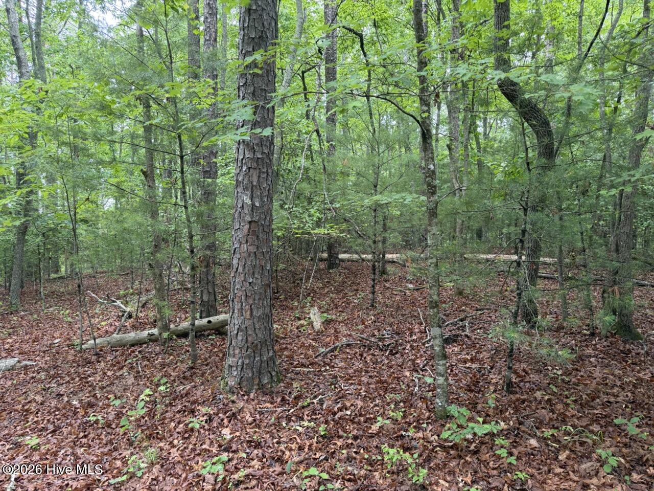 274 Snow Hill Ridge Road Property Photo 27