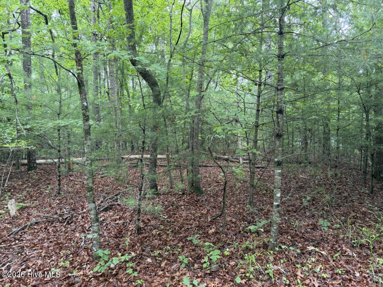 274 Snow Hill Ridge Road Property Photo 28