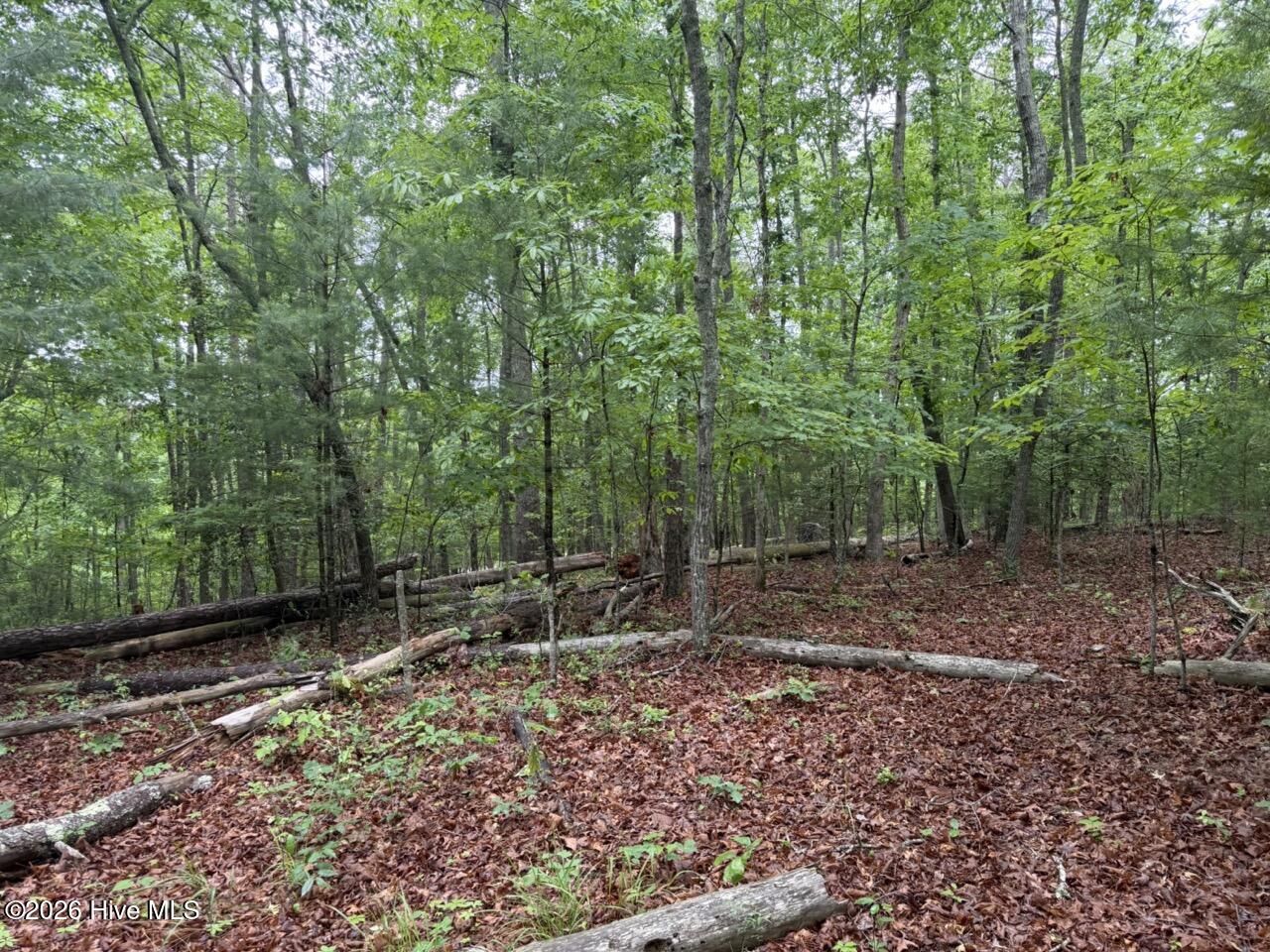 274 Snow Hill Ridge Road Property Photo 29