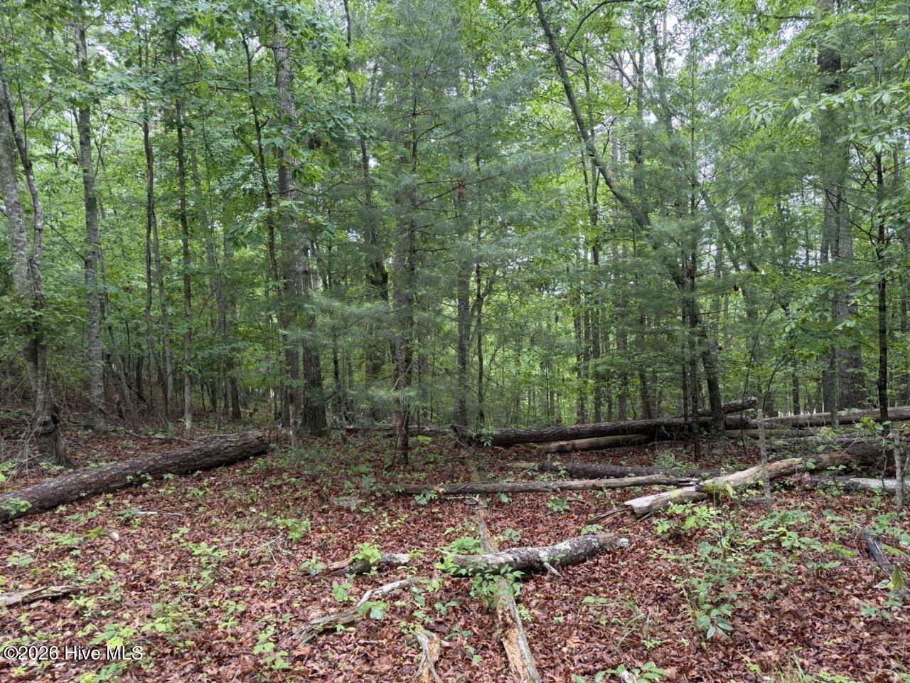 274 Snow Hill Ridge Road Property Photo 30