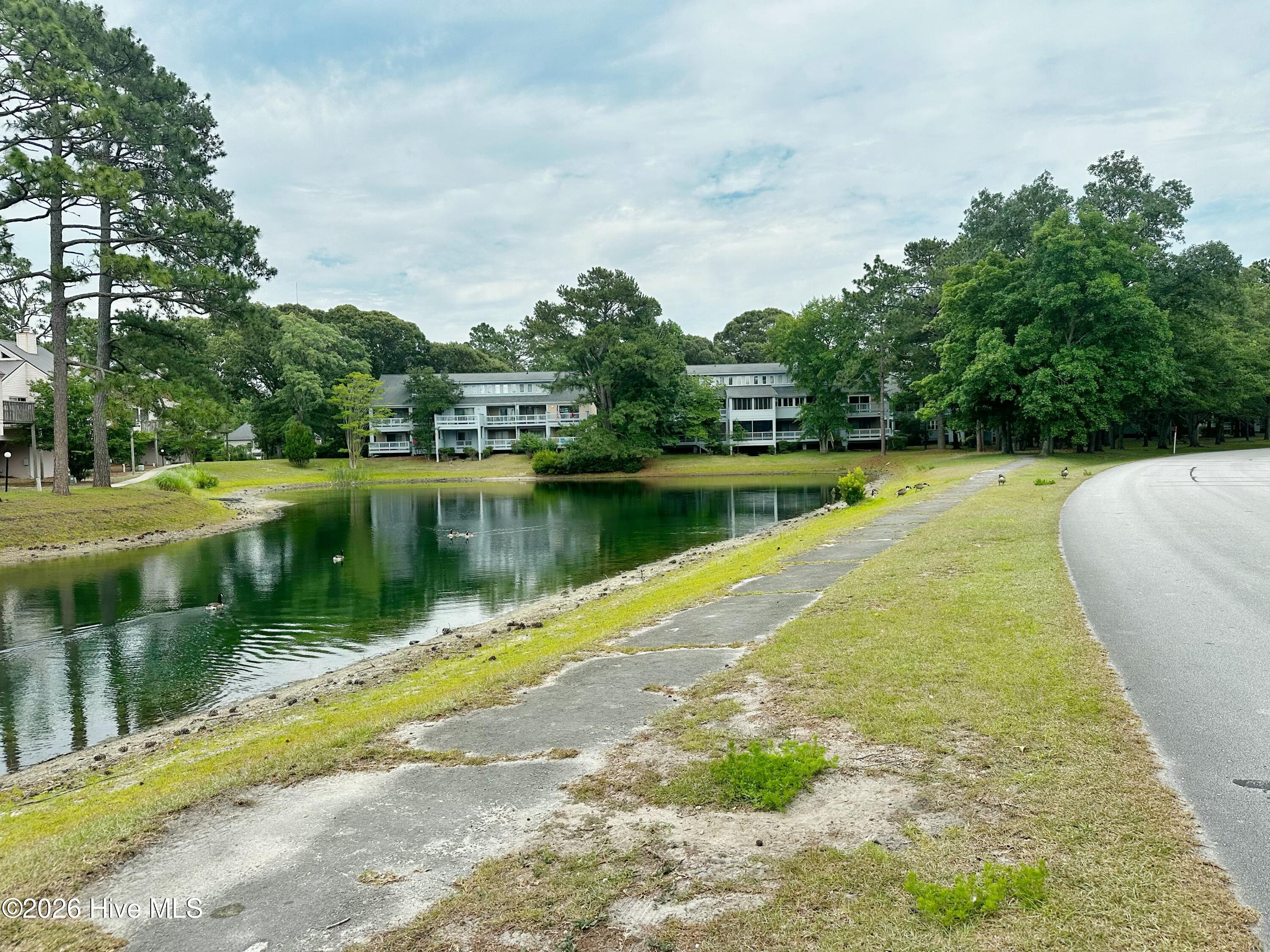1204 Harbourside Drive 1204a & 1203 Property Photo 20