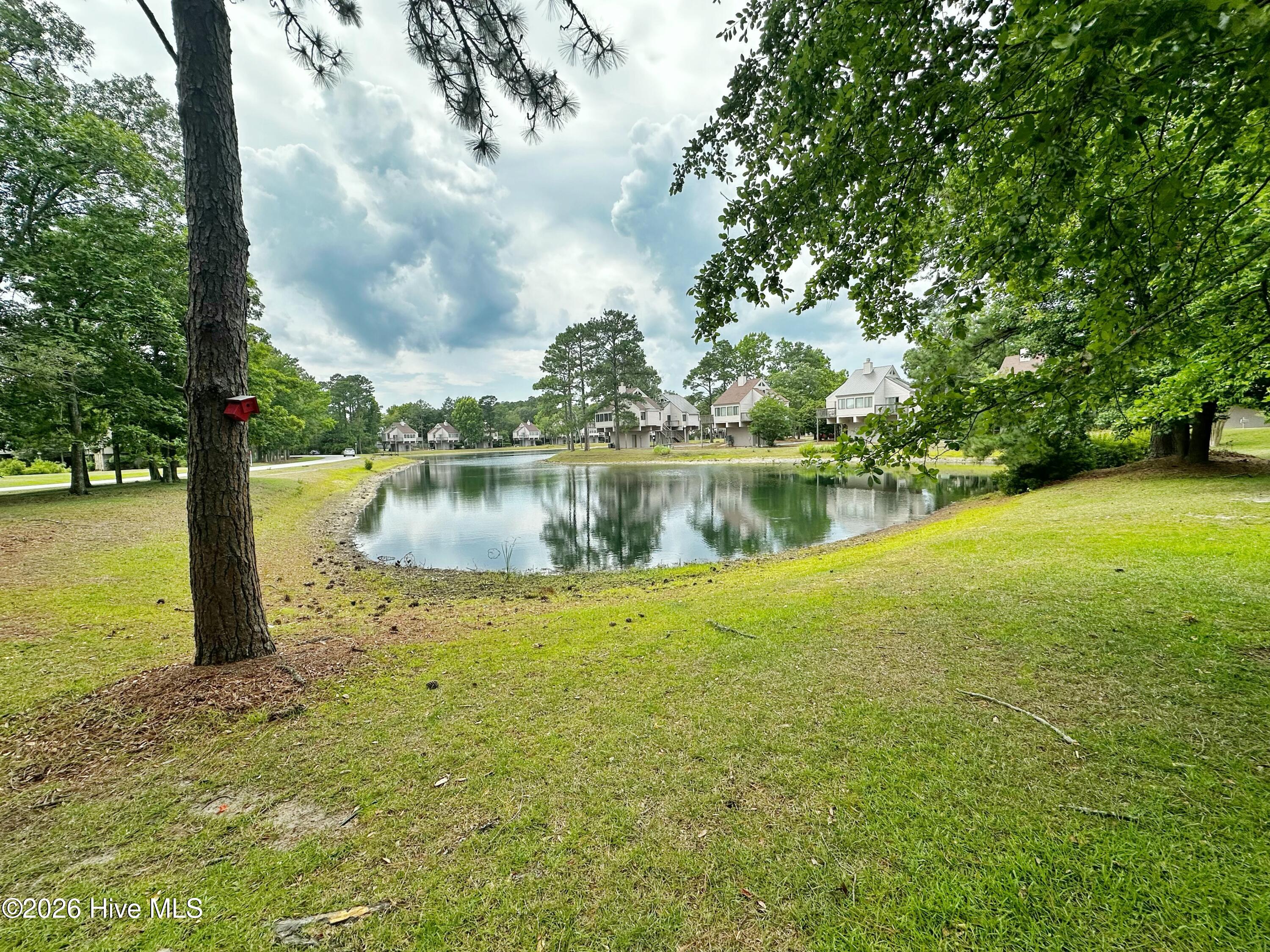 1204 Harbourside Drive 1204a & 1203 Property Photo 21