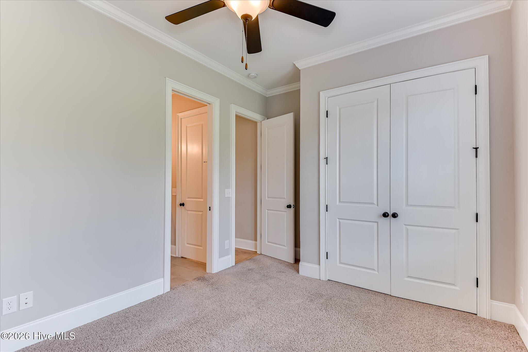 427 Woodlawn Street Property Photo 27