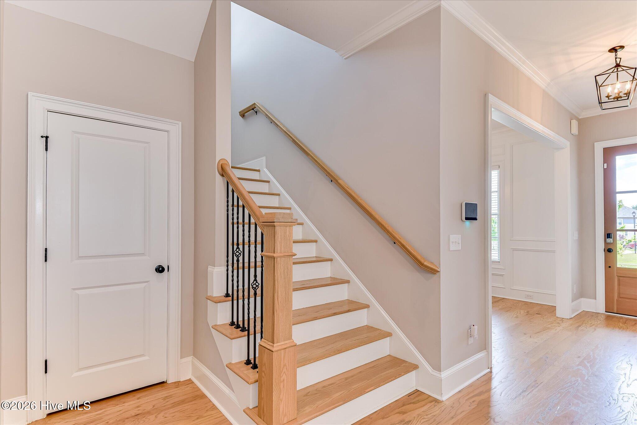 427 Woodlawn Street Property Photo 29
