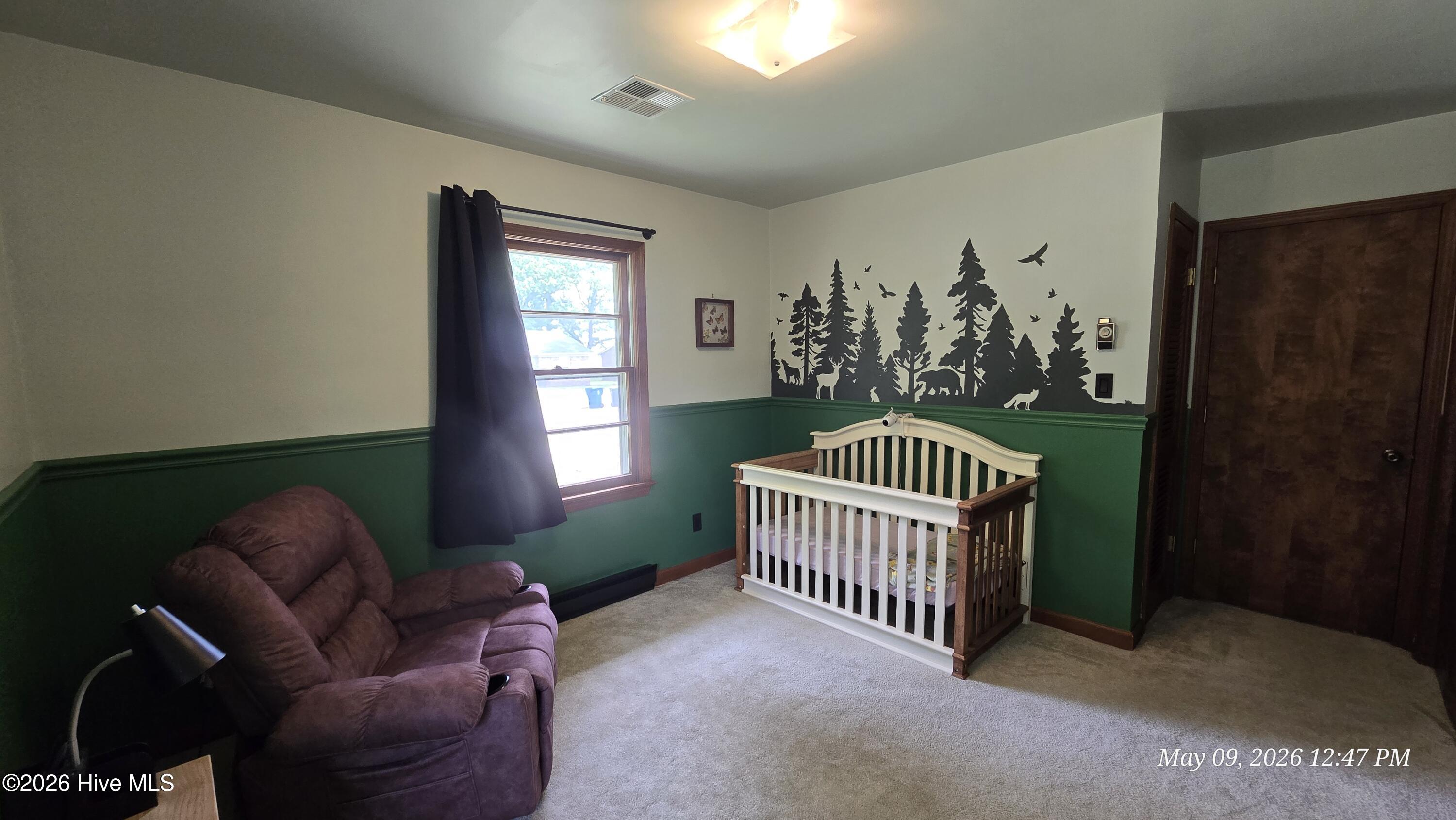 300 Ruritan Street Property Photo 13