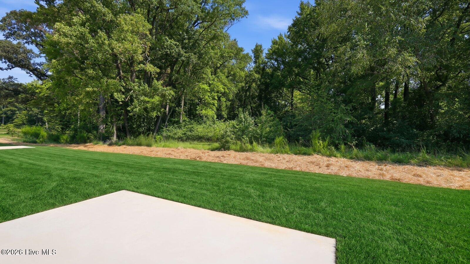 2113 Montalvan Drive Property Photo 29