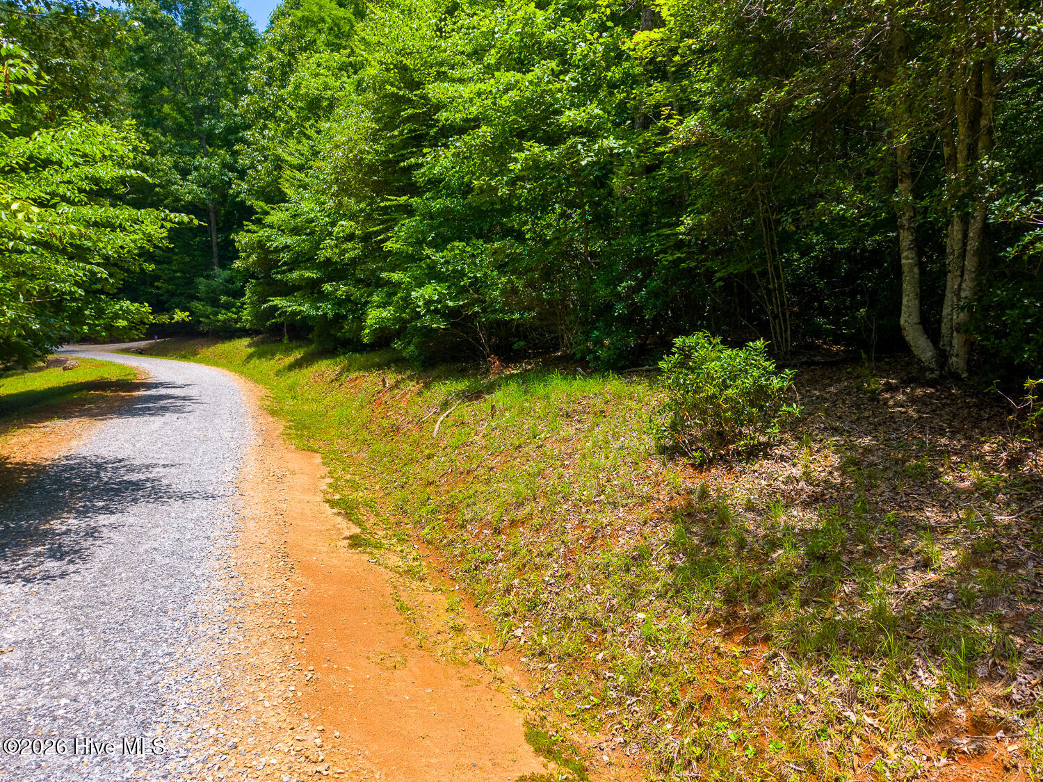 243 Jonquil Woods Road Property Photo 49