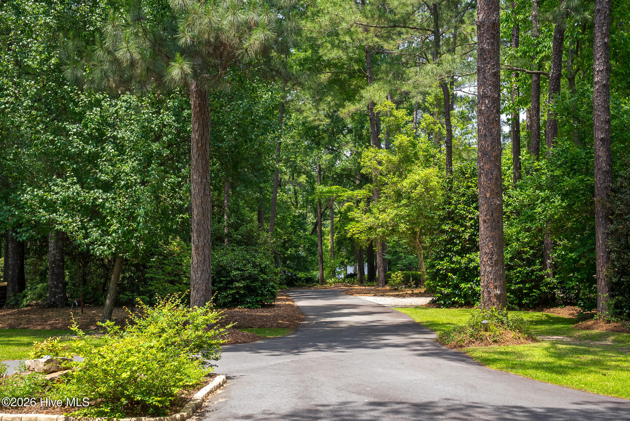 1049 Edisto Lake Road Property Photo 6
