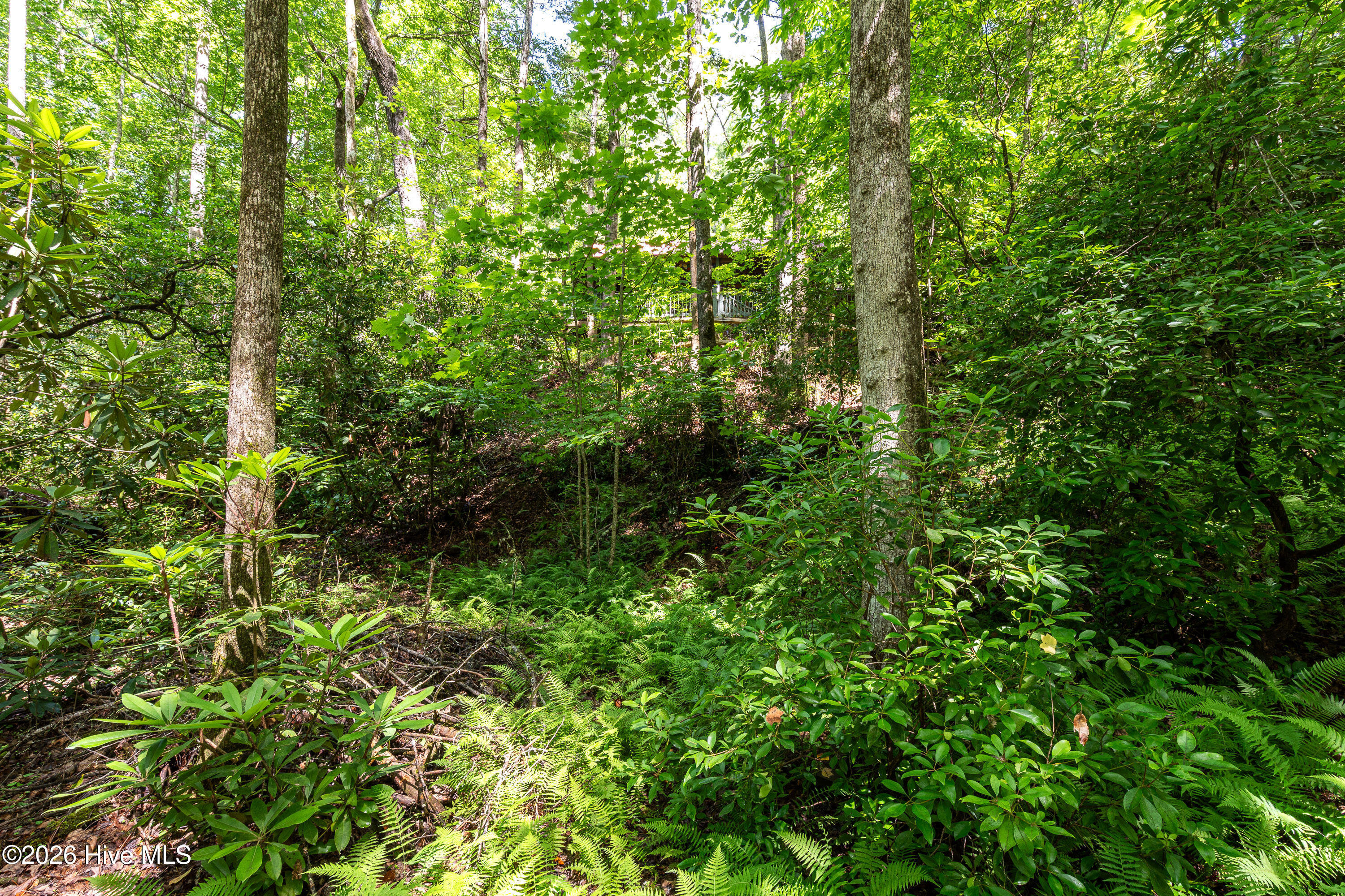 211 Red Oak Forest Lane Property Photo 40