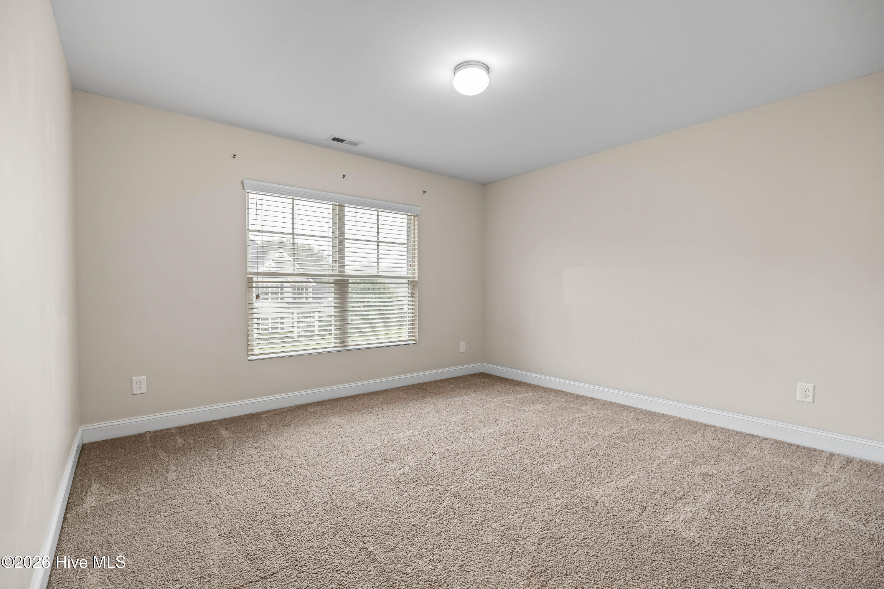 115 Mittams Point Drive Property Photo 38