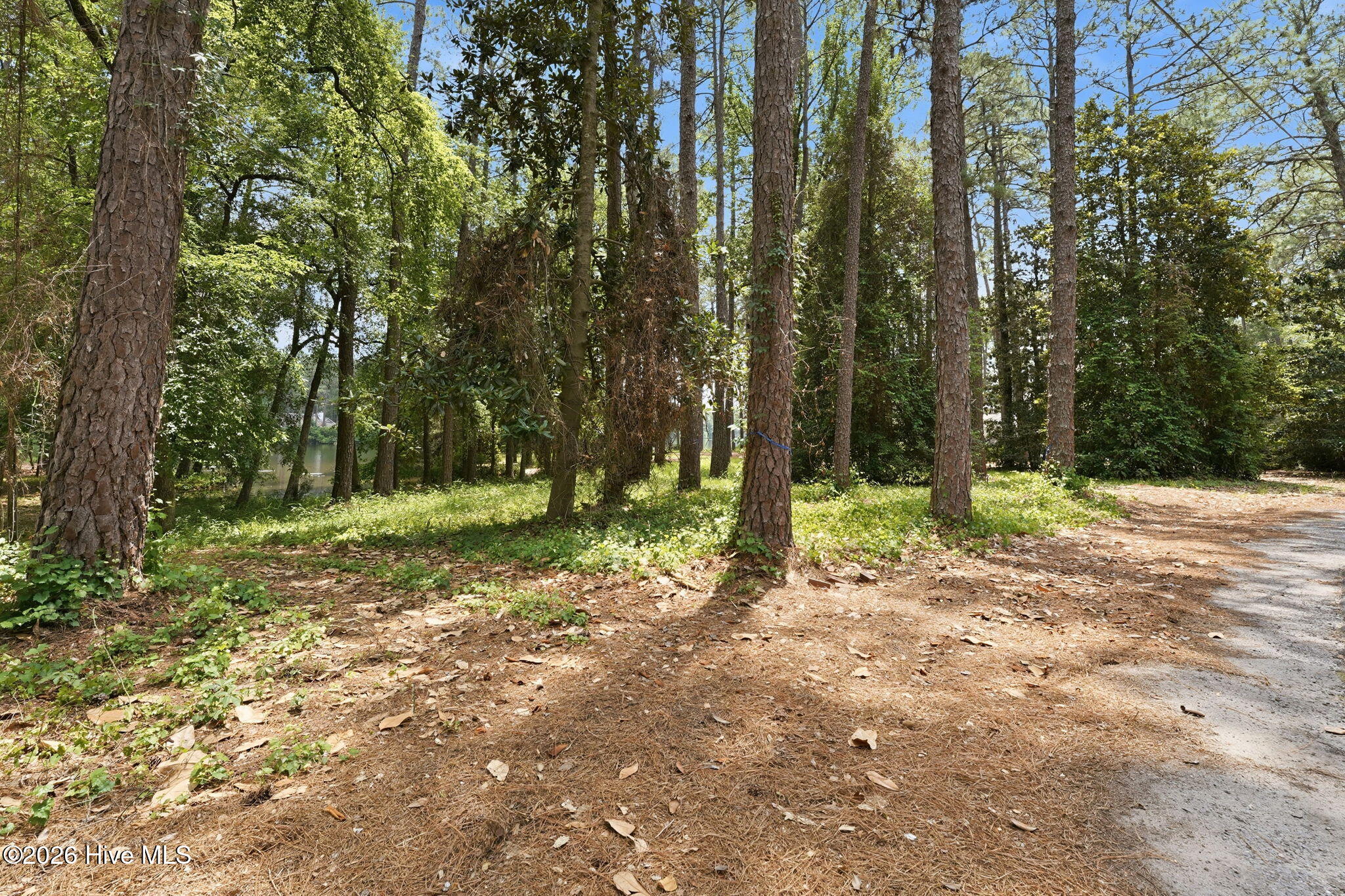 55 Apawamis Circle Property Photo 3