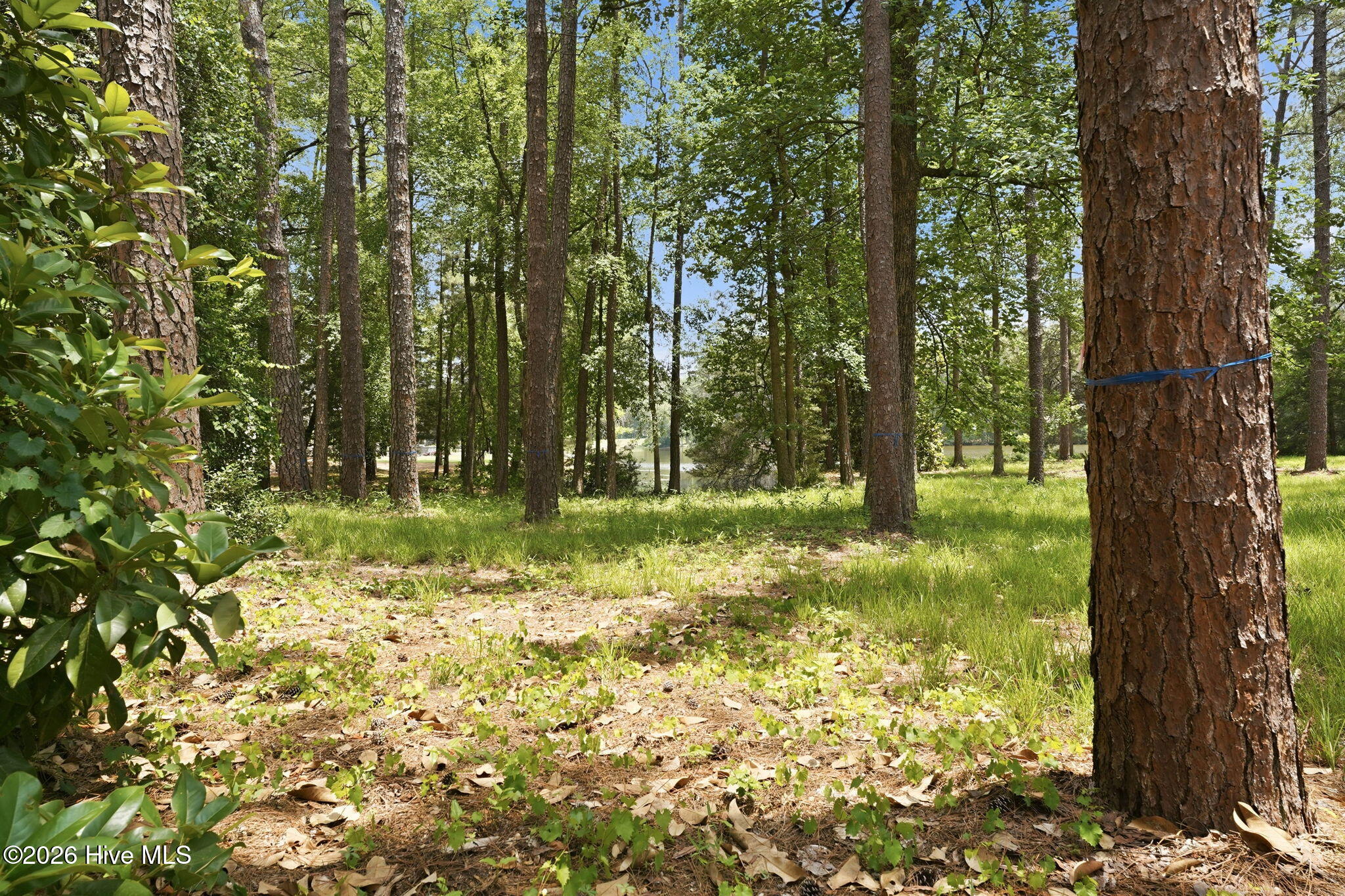 55 Apawamis Circle Property Photo 10