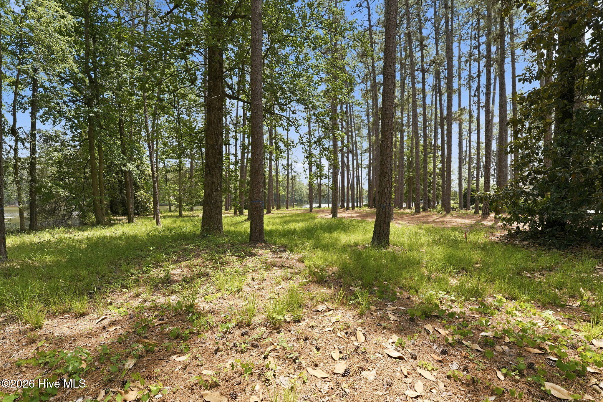 55 Apawamis Circle Property Photo 11
