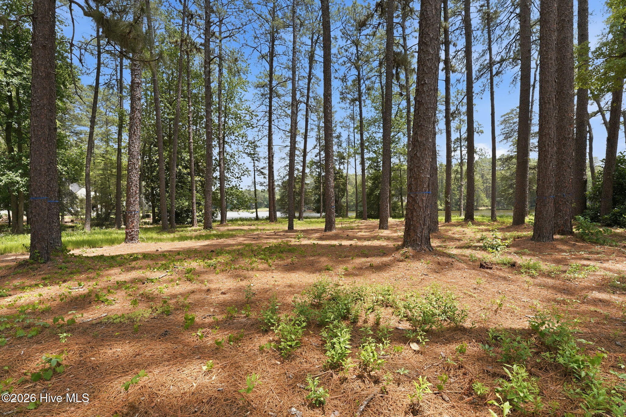 55 Apawamis Circle Property Photo 12