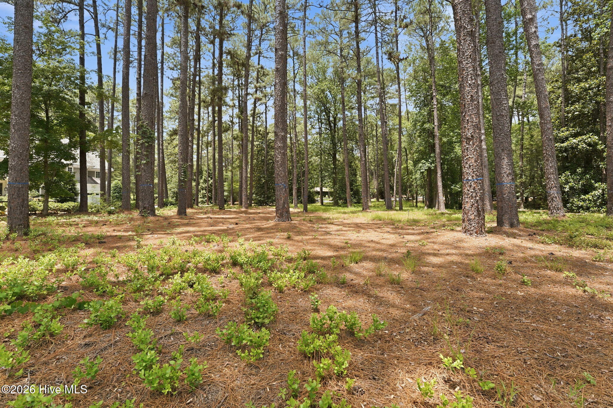 55 Apawamis Circle Property Photo 13
