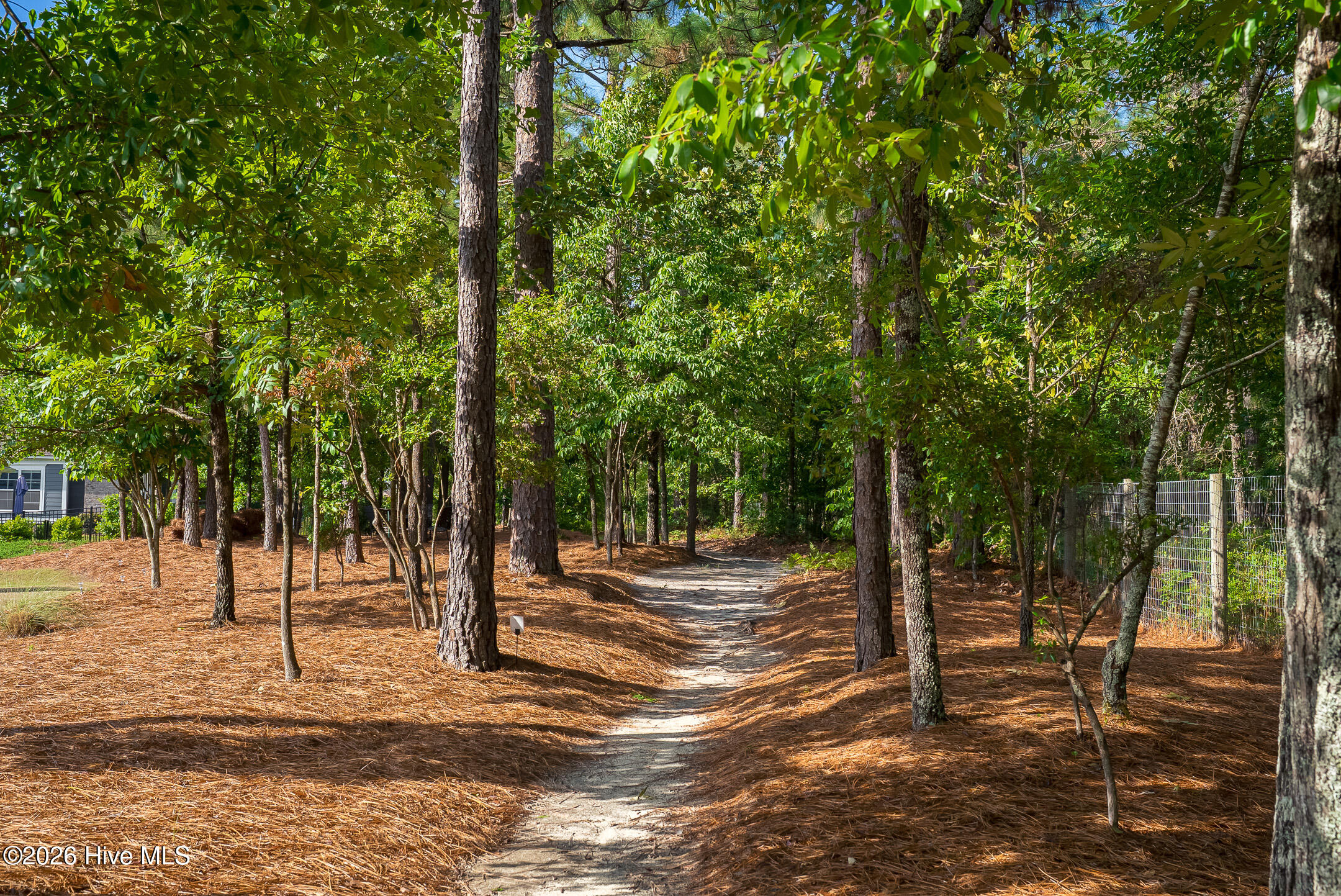 187 Bluet Loop Property Photo 44