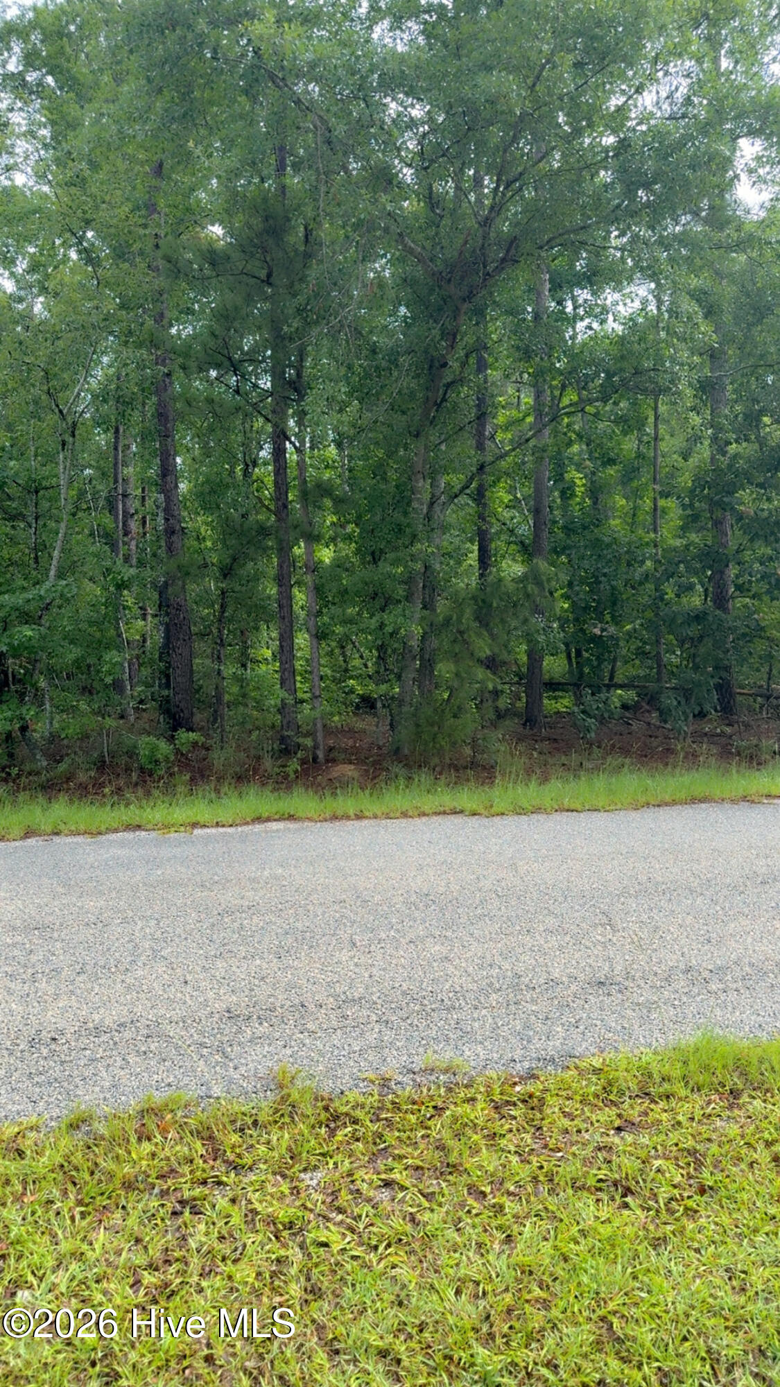 Lot 18 Long Horn Property Photo 7